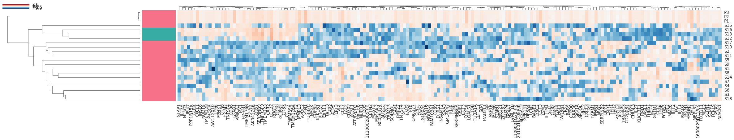 ../_images/plot_clustermap.png